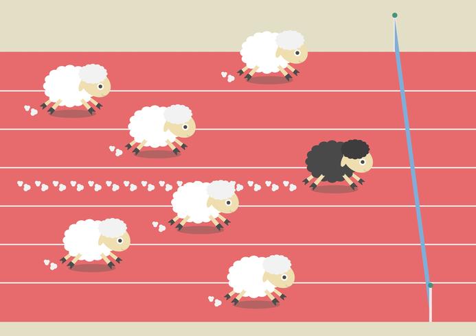 competition of sheep vector