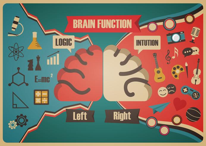 tabla de funciones retro del cerebro vector