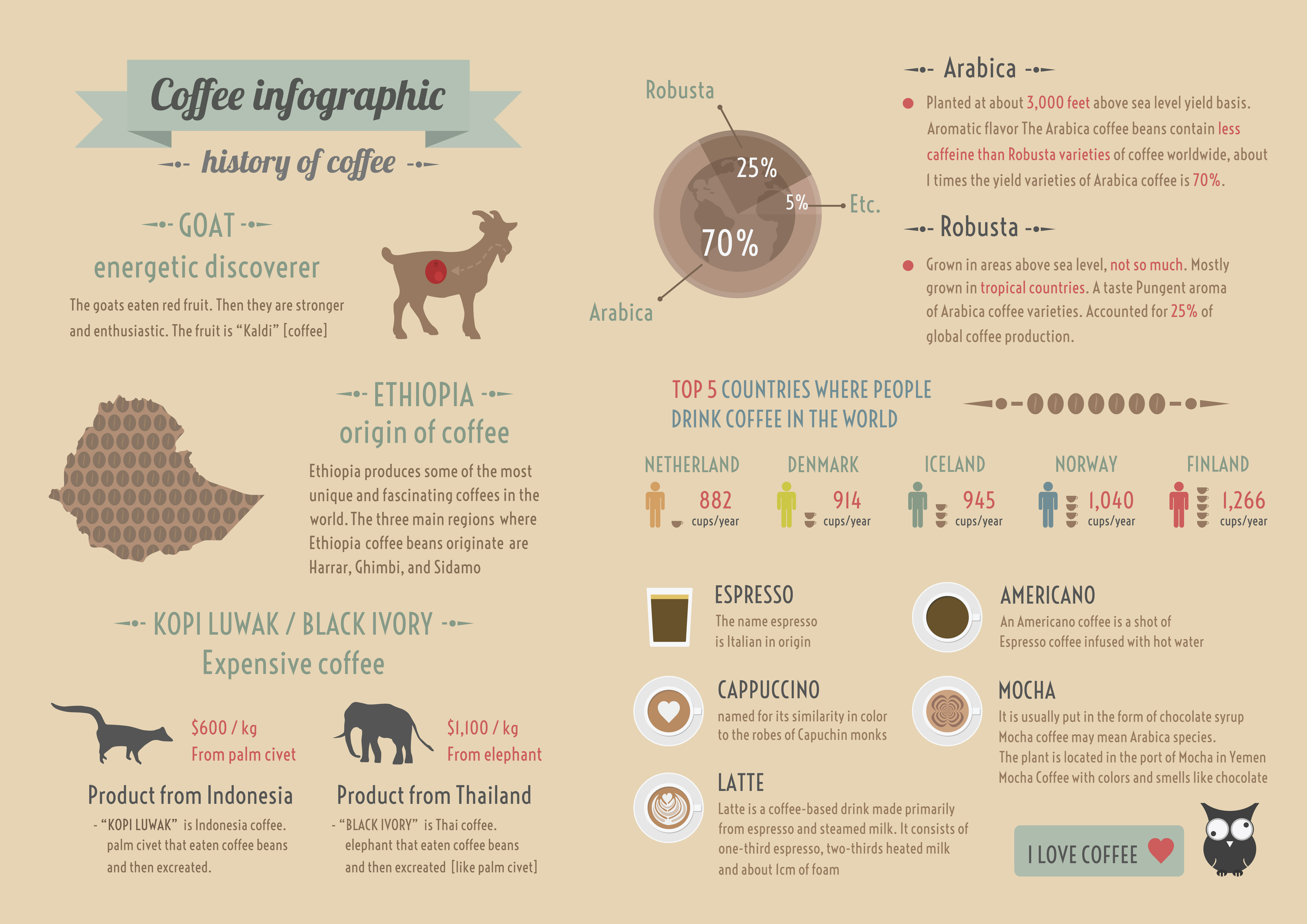 Coffee is grown. Инфографика кофе. История кофе инфографика. Историческая инфографика. Инфографика кофейни.