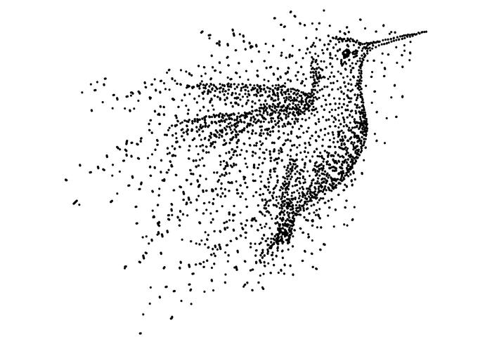 Ilustración de vector de partícula de colibrí