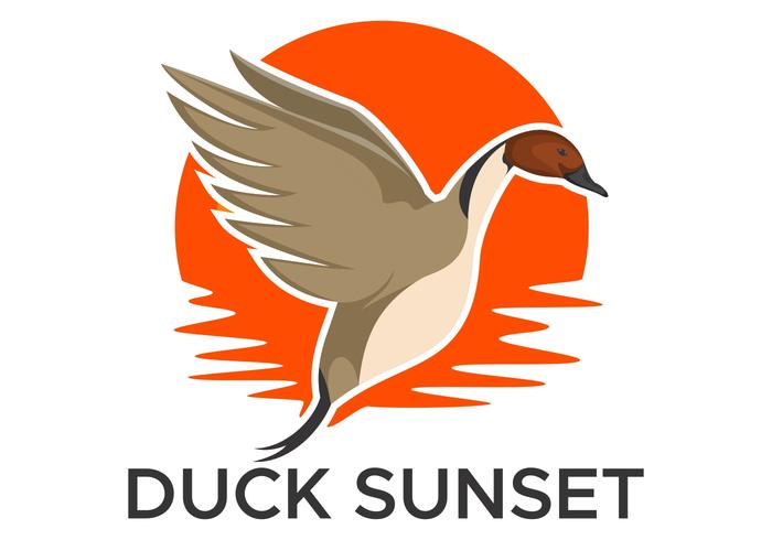 duck pintail sunset vector design illustration