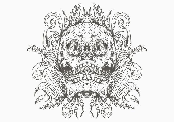 skull decoration vector illustration