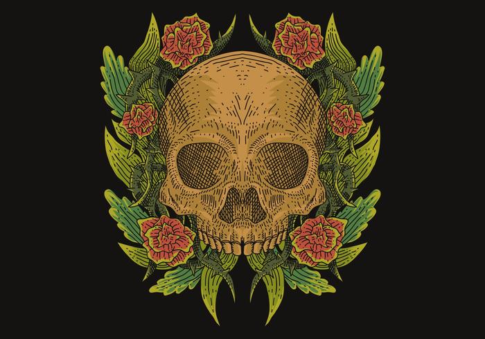 skull decoration vector illustration