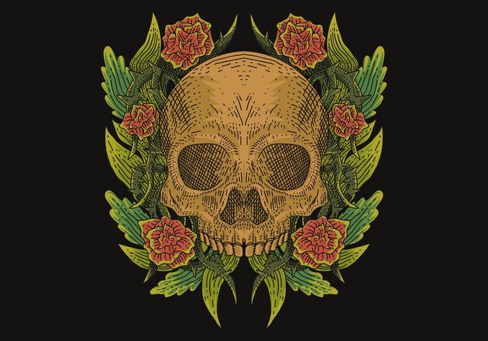 skull decoration vector illustration