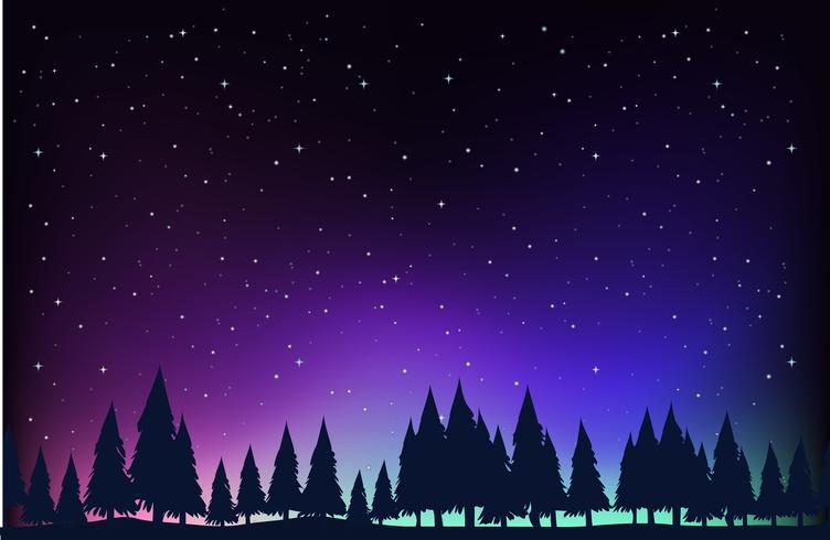 Scene with pine trees at night vector