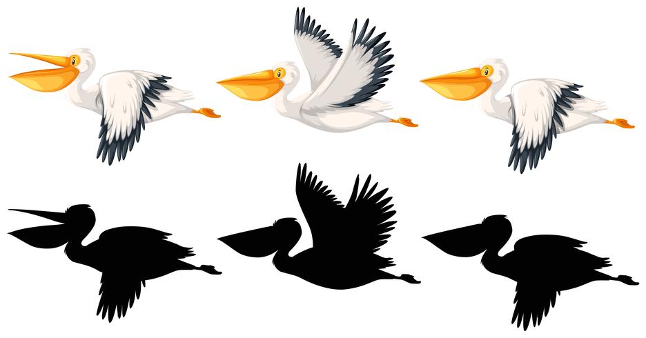 Set of pelican character vector