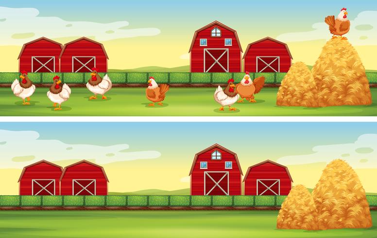 Chickens and barn in the farmyard vector