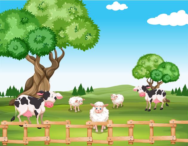 Sheeps and cows in the field vector