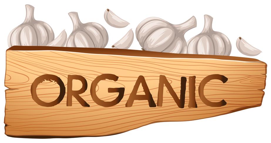 Organic sign and garlic vector