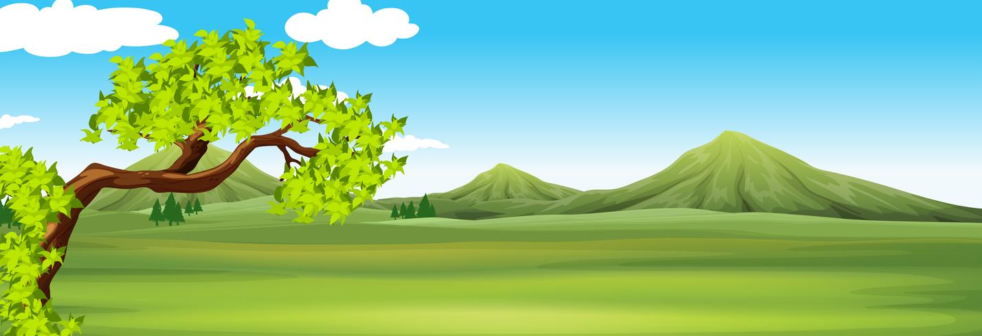 Escena de la naturaleza con campo verde vector