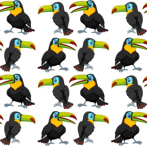 Toucan on seamless wallpeper vector