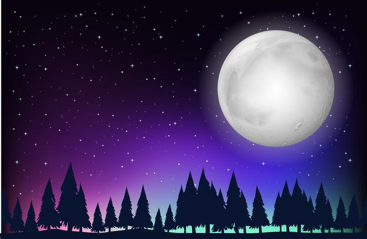 Escena de la naturaleza con luna llena y bosque. vector