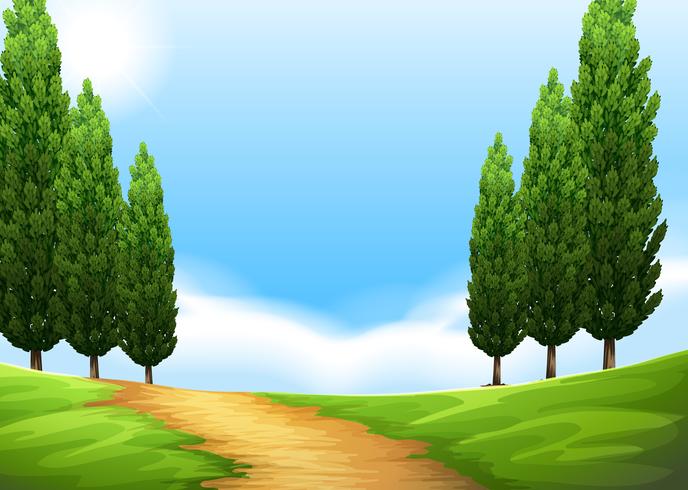 Nature scene with trail and pine tree vector