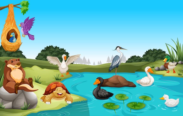 Many animals living by the pond vector