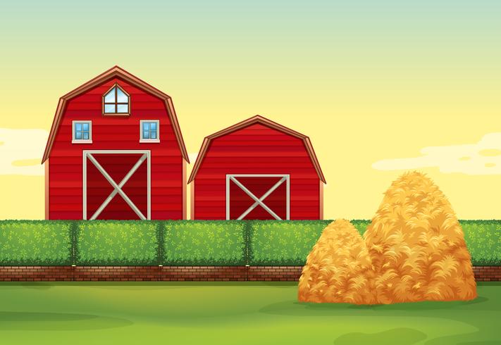 Farm scene with barns and haystacks vector