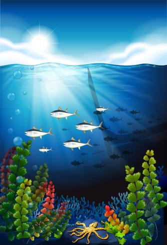 Scene with fish swimming underwater vector