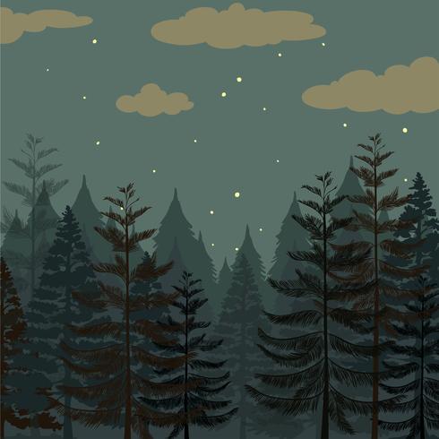 Pine forest at night time vector