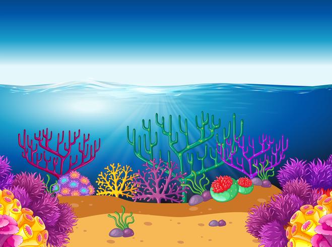 Escena de la naturaleza con arrecifes de coral bajo el agua vector