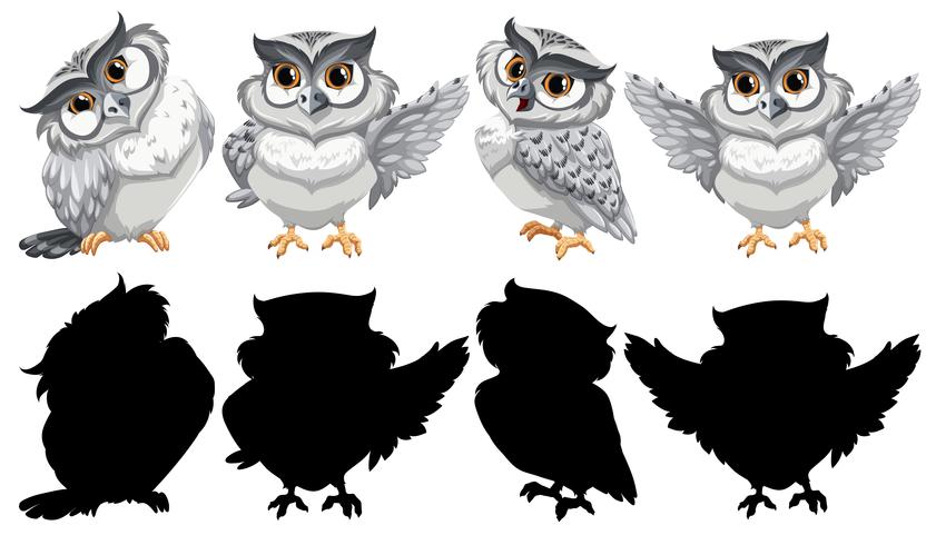 Set of owl character vector