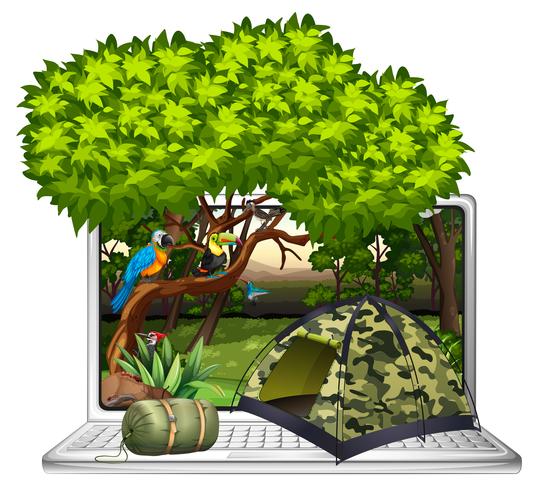 Wild birds and camping site on computer screen vector