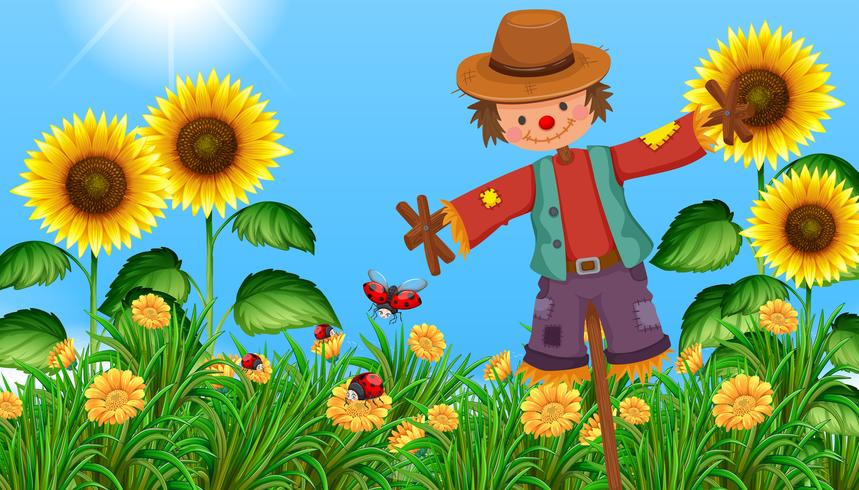 Scarecrow in the sunflower field