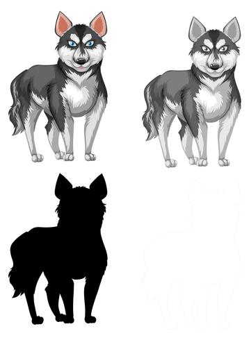 Set of siberian husky vector