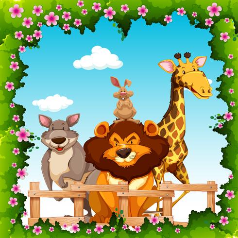 Wild animals behind the fence vector