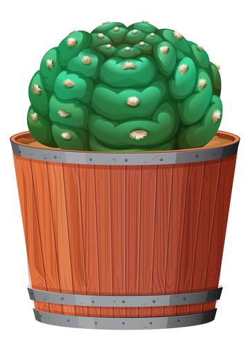 A cactus in the pot vector