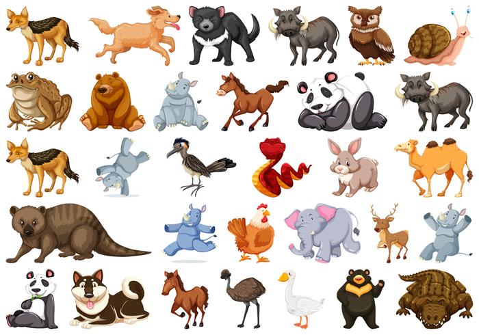 Set of animal character vector