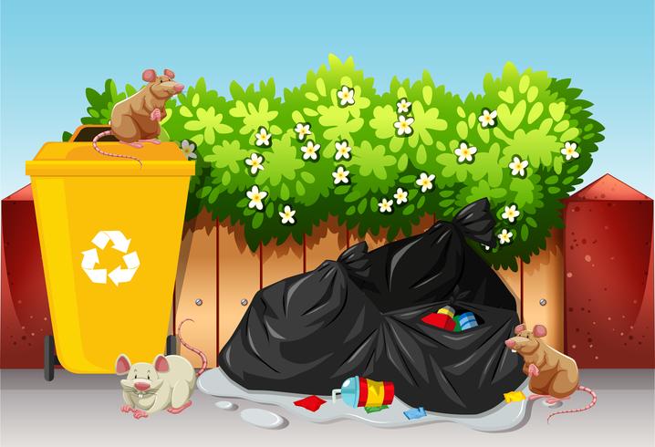 Scene with trash bags and rats vector