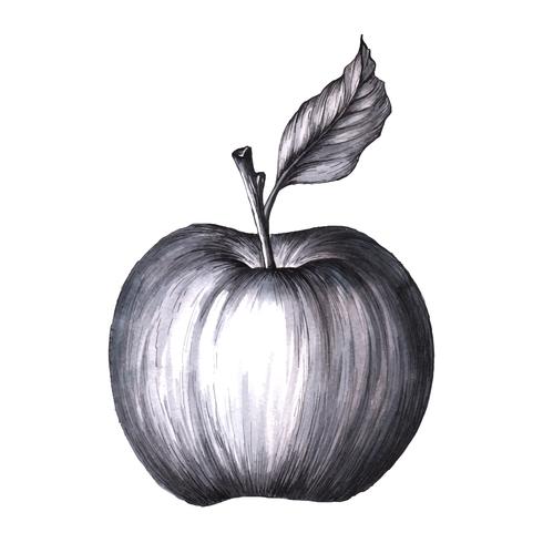 Black and white Apple.  vector