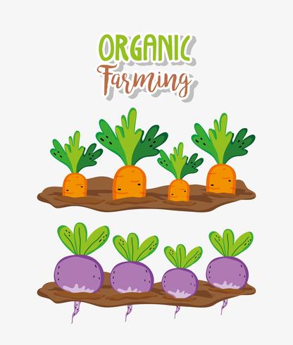 Organic farming cartoons vector