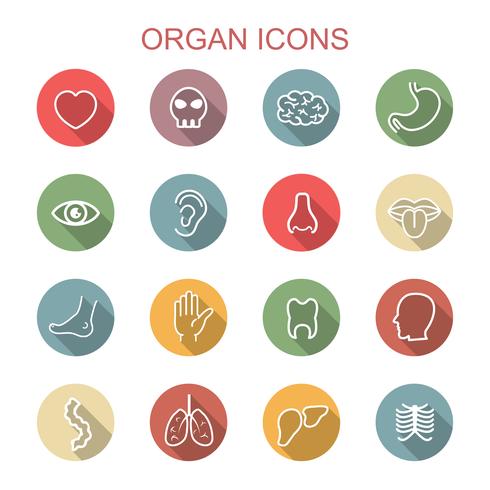 organ long shadow icons vector