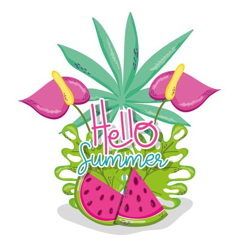 Hello summer cartoons vector