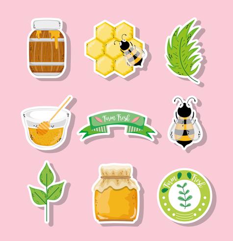 Organic honey label vector