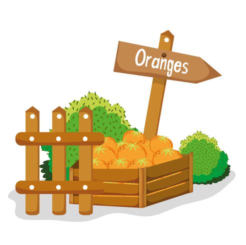 Farm fresh fruits vector