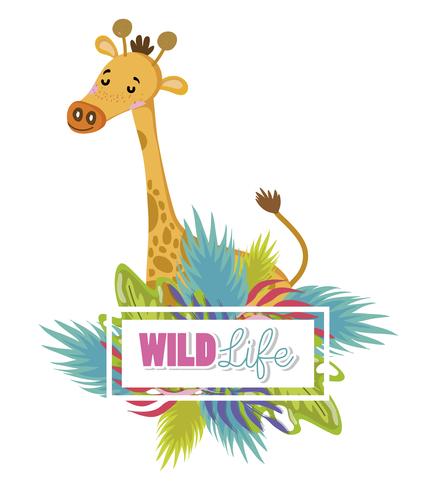 Cute wildlife animals cartoons vector