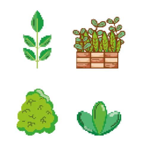 Conjunto de iconos pixelados de jardín y naturaleza vector