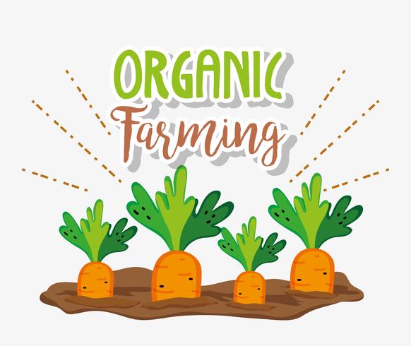 Organic farming cartoons vector