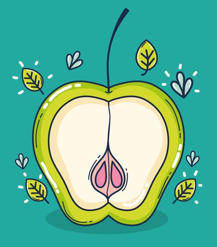 Green apple half cut fruit cartoon vector