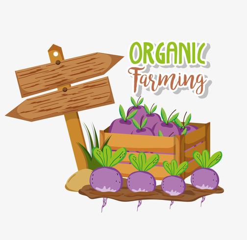 Organic farming cartoons