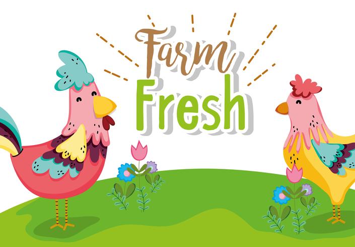 Farm fresh concept vector