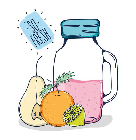 Jugo tan fresco de frutas. vector