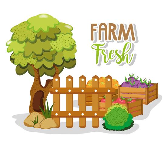 Farm fresh products vector