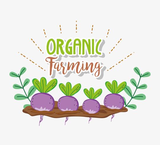 Organic farming cartoons vector