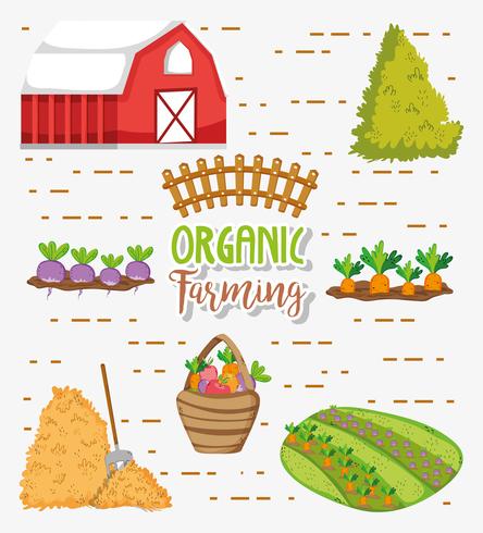 Organic farming cartoons vector