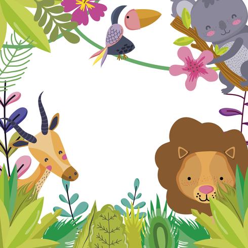 Cute wildlife animals cartoons vector