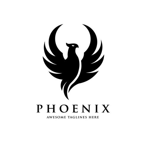 phoenix bird logo concept vector