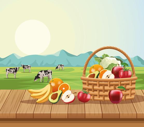Fruits and vegetables in basket vector