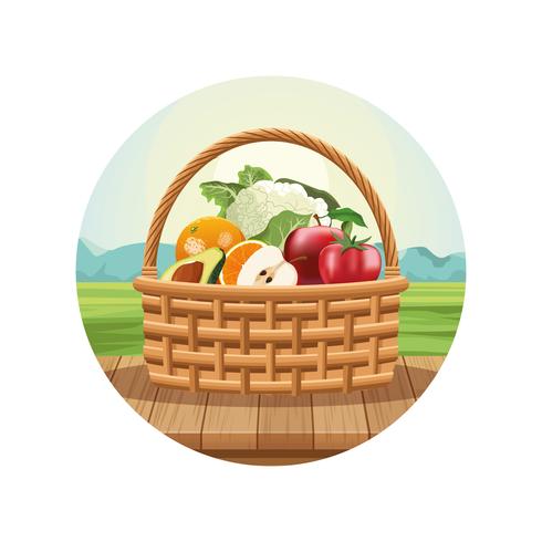 Fruits and vegetables in basket vector